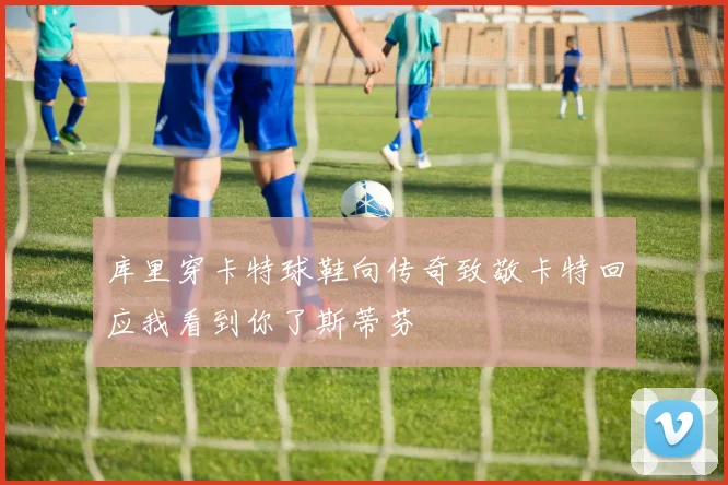 库里穿卡特球鞋向传奇致敬卡特回应我看到你了斯蒂芬