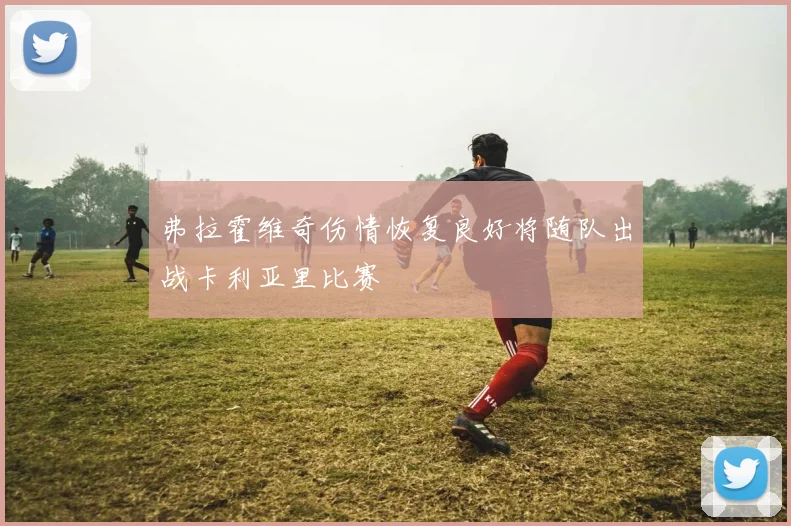 弗拉霍维奇伤情恢复良好将随队出战卡利亚里比赛